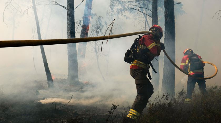 Foto: Nuno André Ferreira/ Lusa