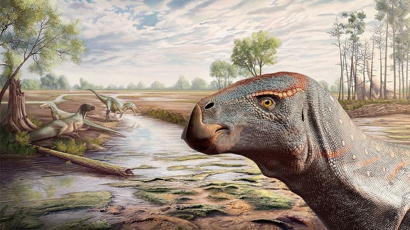 ​Descoberto em Portugal um novo dinossauro. Foi batizado com nome de Bocage