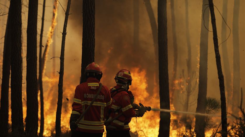 Foto: Paulo Cunha/Lusa