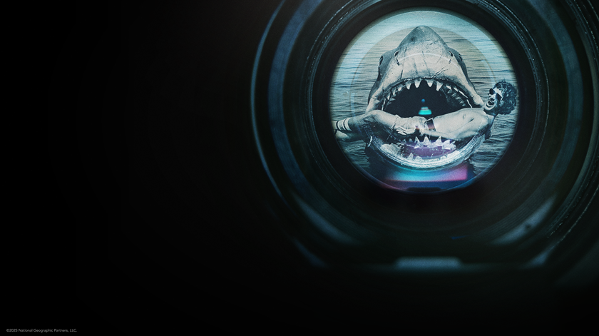 "Tubarão" faz 50 anos. Spielberg conta histórias e mostra imagens inéditas em documentário. Foto: Courtesy of Universal Studios Licensing LLC