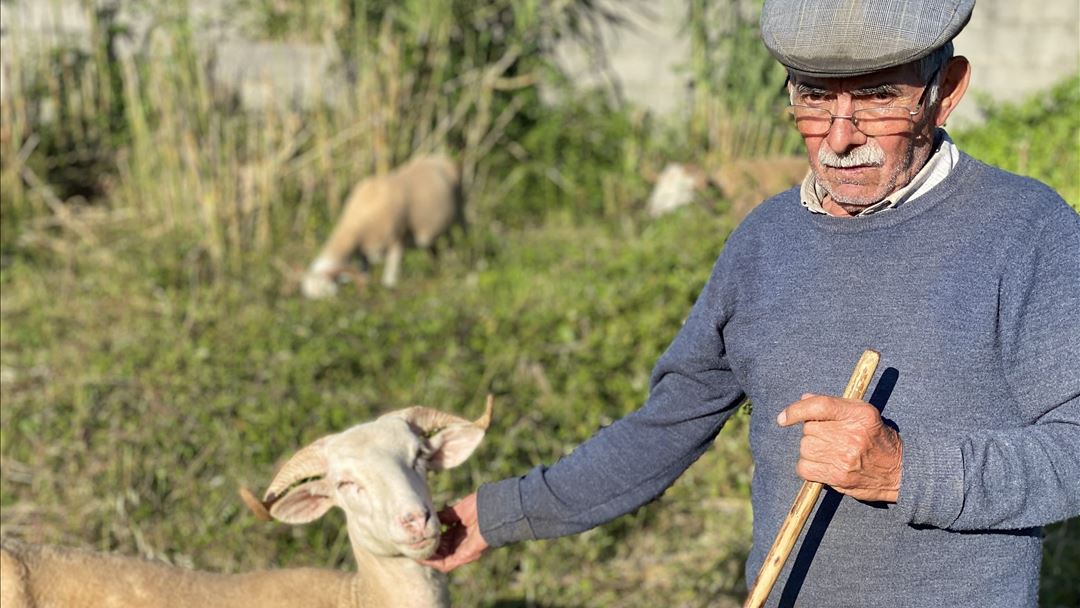 O pastor Virgílio está apreensivo relativamente ao futuro da sua exploração Foto: Liliana Monteiro/RR