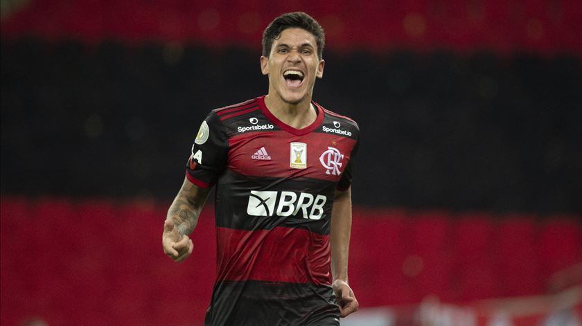 Pedro é o melhor marcador do Mengão, com 20 golos. Foto: Flamengo