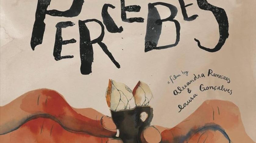Animação sobre crustáceo "Percebes" é candidato português às nomeações dos prémios César