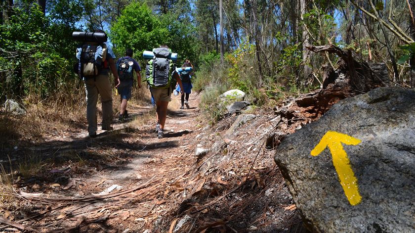 Milhões de peregrinos seguem os caminhos desde o início do século IX. Foto: DR