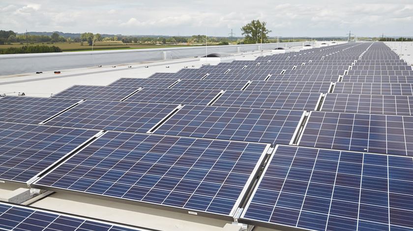 Associação ambientalista Zero contra projeto da central fotovoltaica Sophia