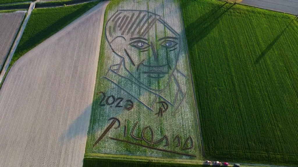 Maior retrato de Picasso do mundo “esculpido” por trator em terreno em Itália Maior retrato de Picasso do mundo “esculpido” por trator em terreno em Itália