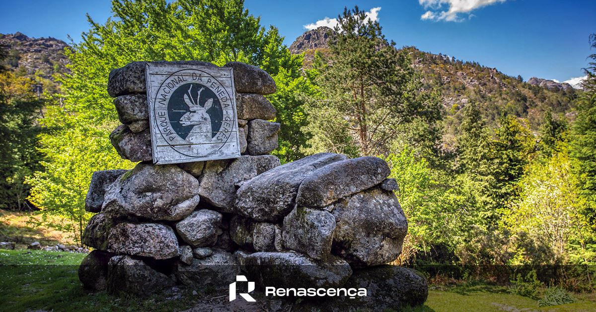 Quercus contests Volta a Portugal in Gerês, ZERO satisfied with "strong constraints"