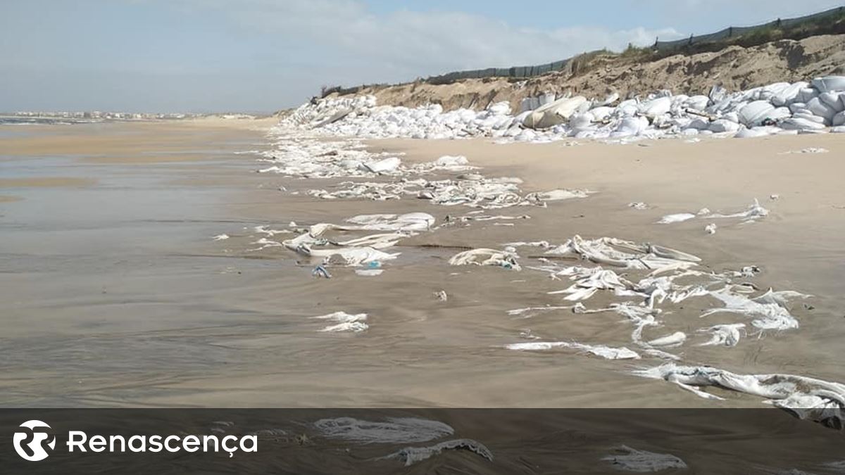 Environmental Waves