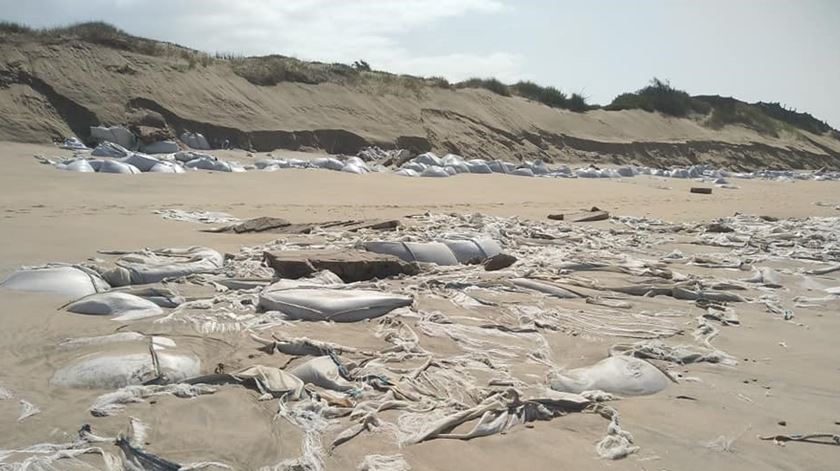 Golfe da Estela vai limpar lixo de proteção dunar em praia da Póvoa de Varzim Golfe da Estela vai limpar lixo de proteção dunar em praia da Póvoa de Varzim