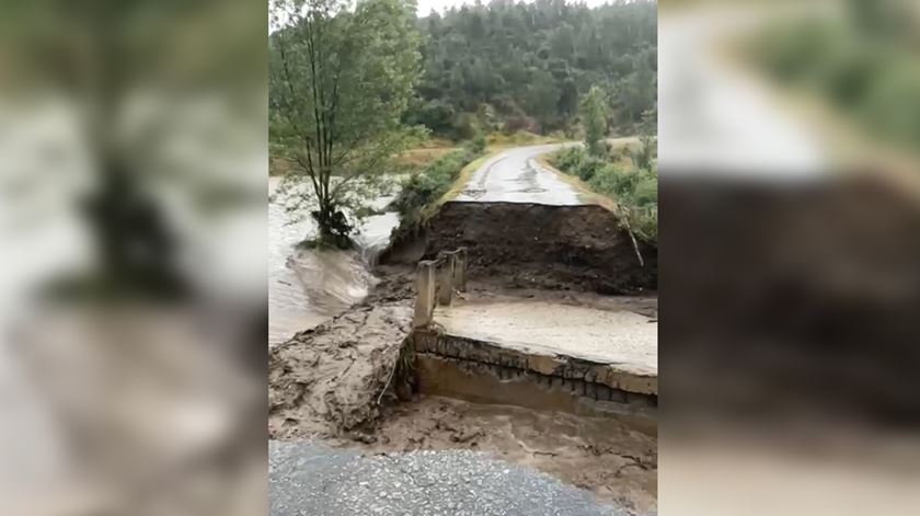 Mau tempo afetou  1.300 hectares de vinha em Alijó e Murça