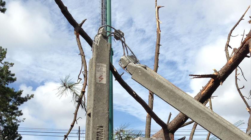 Foto: EDP Distribuição