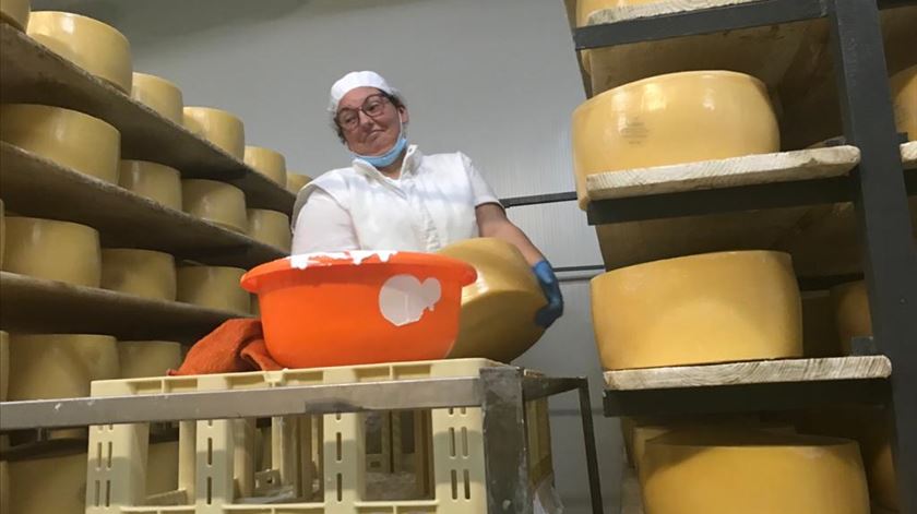 Sismicidade em São Jorge quase não teve impacto na produção de queijo