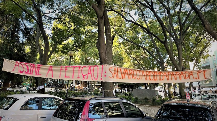 Metro de Lisboa. Movimento contesta retirada de árvores no Jardim da Parada