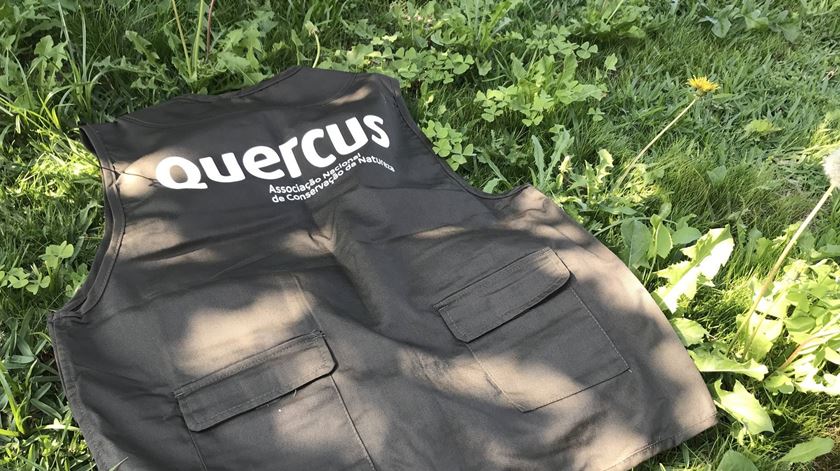 Associação Quercus pede lei que proíba toalhetes húmidos não biodegradáveis