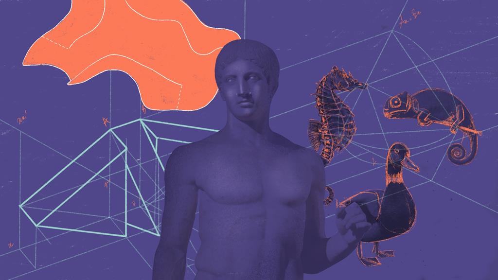 E se os exames fossem outros? Um ranking para as artes visuais E se os exames fossem outros? Um ranking para as artes visuais