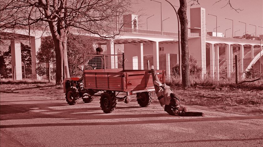 RASTO Folhas Para Contrariar a Gravidade. Foto: Erva Daninha