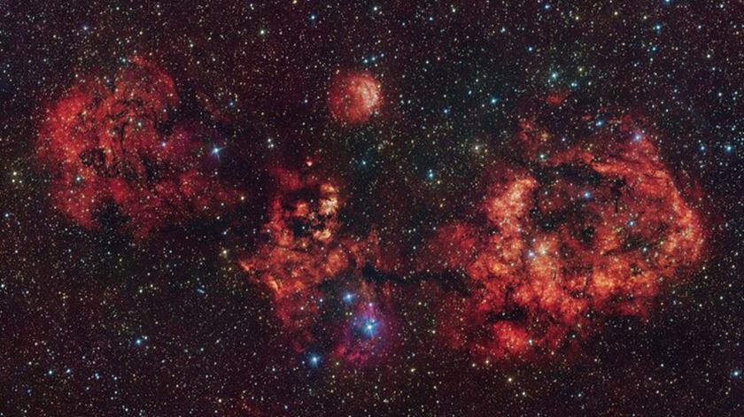 Telescópio deteta "morcego assustador" no espaço, mesmo "a tempo do Halloween" Telescópio deteta "morcego assustador" no espaço, mesmo "a tempo do Halloween"