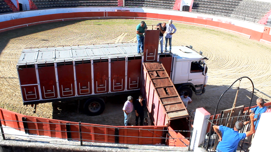 Entre afición e atrocidade: as touradas