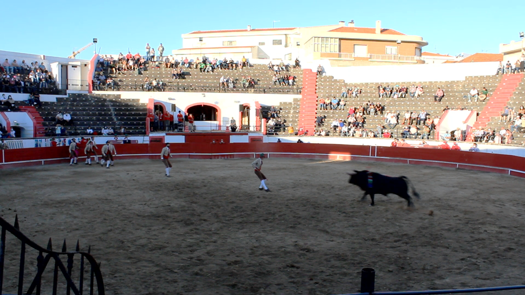 Entre afición e atrocidade: as touradas