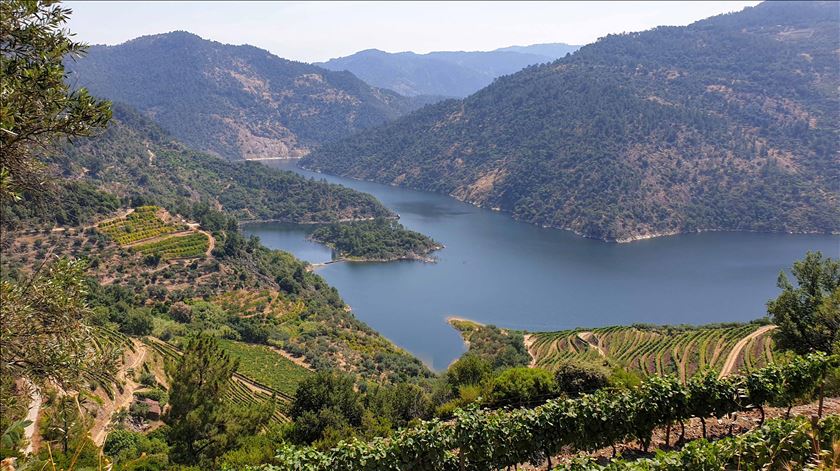 Vem aí o Tua Walking Festival para dar a conhecer o Vale do Tua em cinco fins de semanas