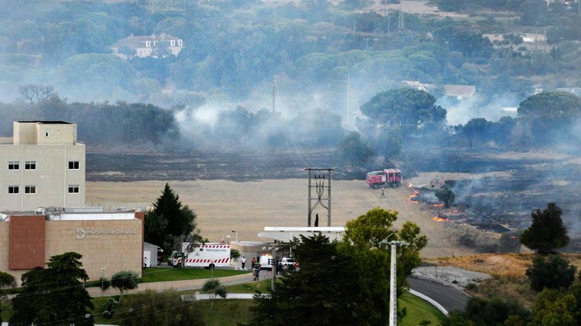 Foto: Rui Minderico/ Lusa