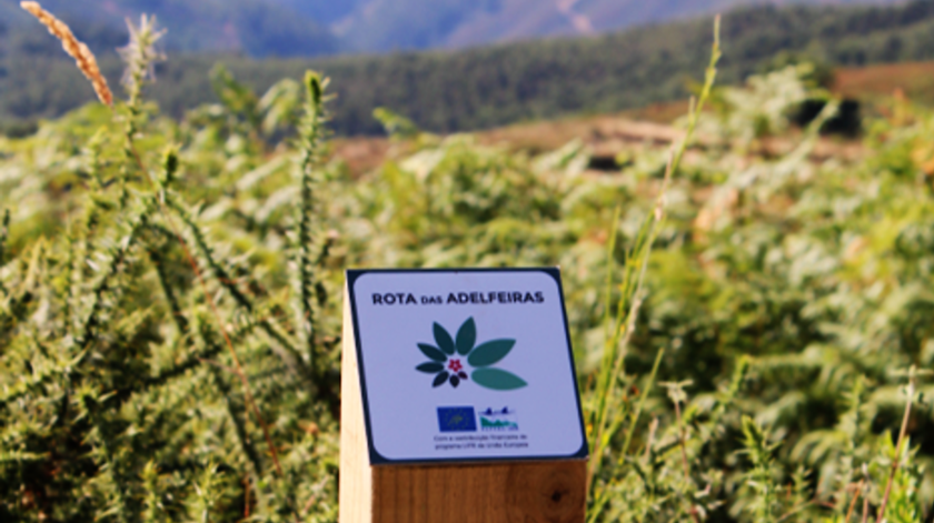 Monchique e Estrela ganham novas rotas temáticas com contributo da Universidade de Évora