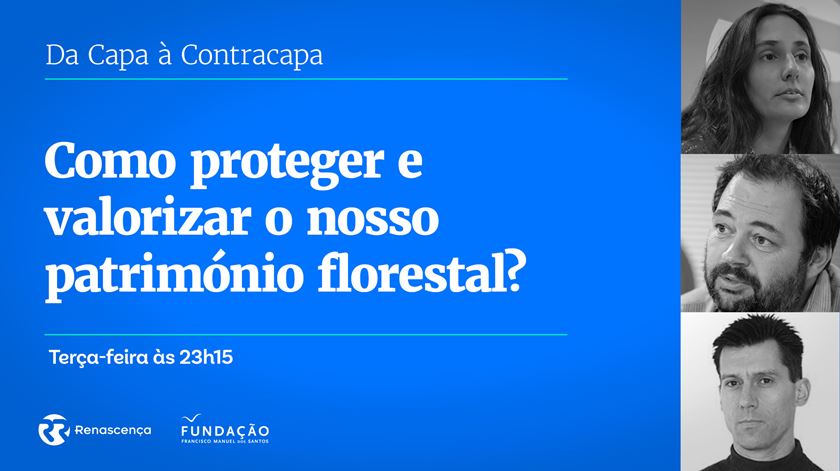 ​Como proteger e valorizar o nosso património florestal?