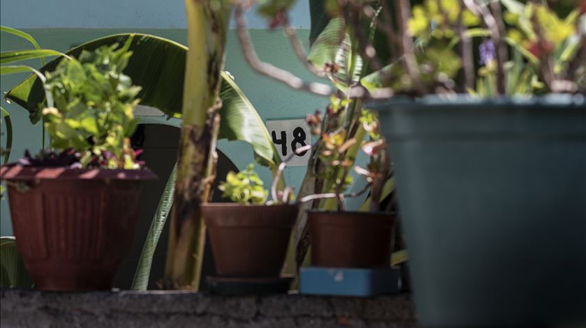 Comissão Justiça e Paz debate "Pobres, Pobreza e Desigualdade"