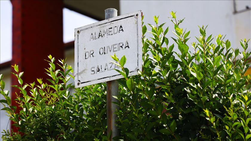 Olival, em Vila Nova de Gaia. Rua Dr. Oliveira Salazar. Foto: João Malheiro