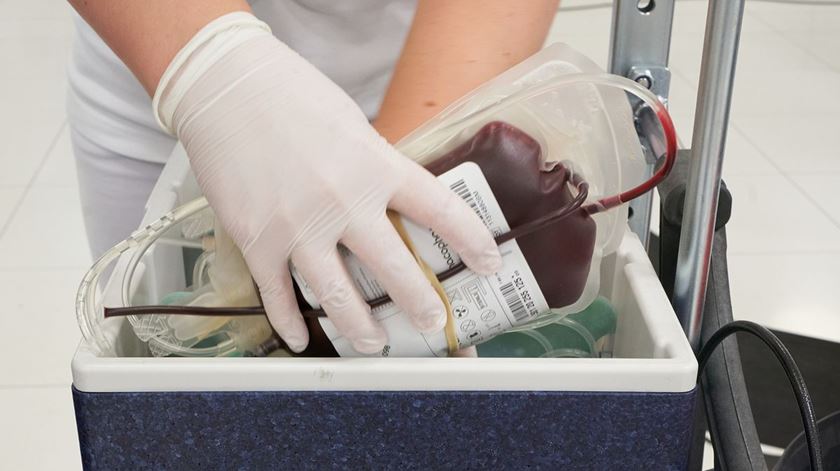 Sangue. Portugal precisa de "mais 40 mil a 45 mil novos dadores" para evitar rutura