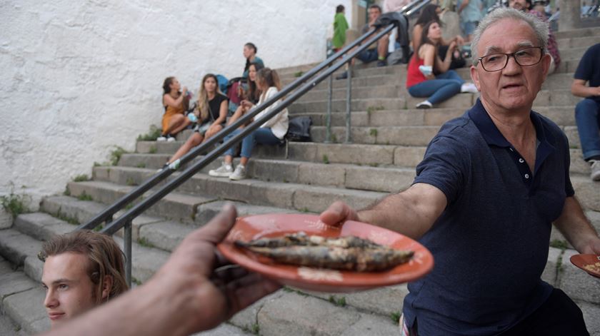 Pescadores do Norte garantem sardinha "abundante e de qualidade" para o São João