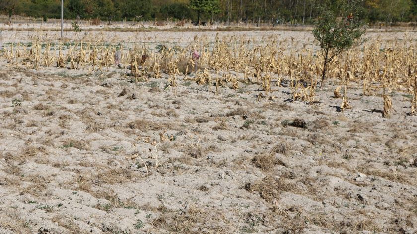 Só o esforço de colaboração entre os habitantes permite que alguma água chegue aos campos de Vimioso. Foto: Olímpia Mairos/RR