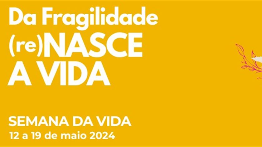 “Da fragilidade (re)Nasce a Vida” é o tema da Semana da Vida 2024 “Da fragilidade (re)Nasce a Vida” é o tema da Semana da Vida 2024
