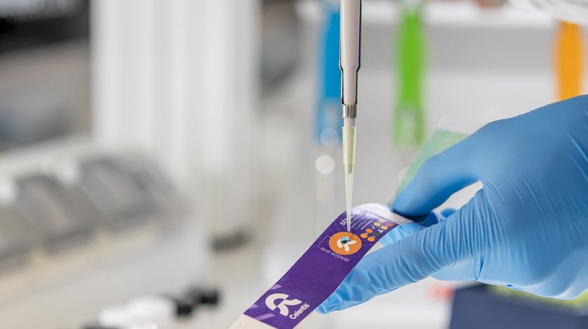 Investigadores criam pulseira que deteta "drogas da violação" em segundos. Foto: DR