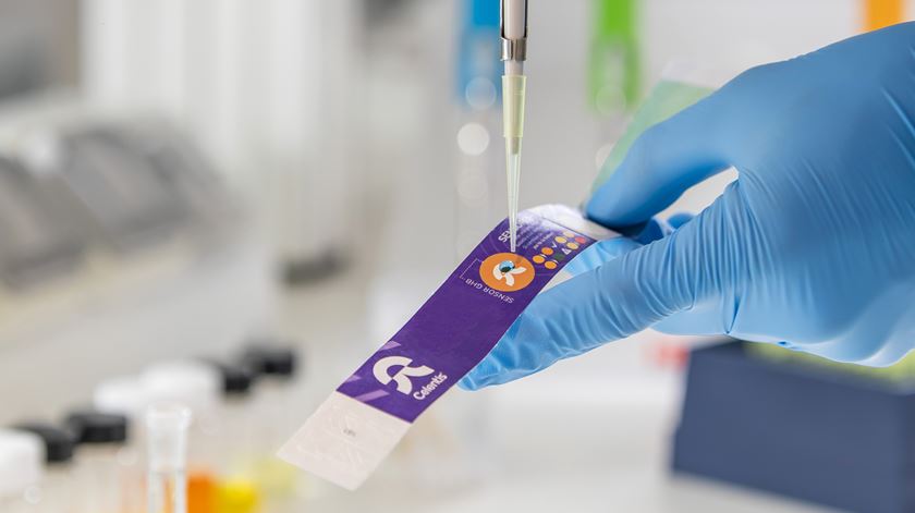 Investigadores criam pulseira que deteta "drogas da violação" em segundos. Foto: DR