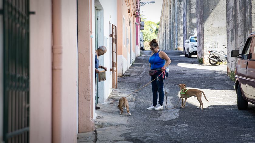 Vida na Serafina. Tráfico de droga, mel e um centro paroquial com “obra feita”