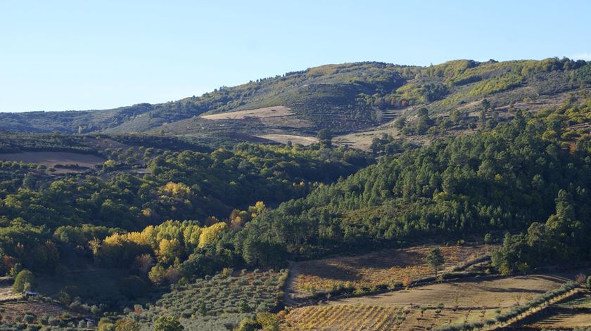 Serra de Bornes. Foto: DR