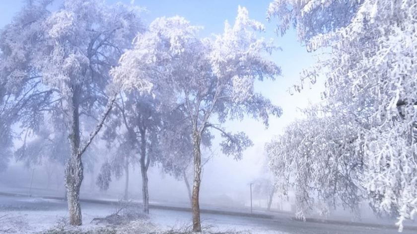 Sincelo. Imagens do fenómeno que fez de Trás-os-Montes uma pintura viva