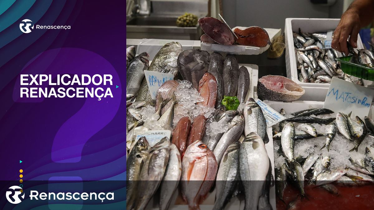 Quanto E Que Tipo De Peixe Que Devemos Consumir Por Semana Renascen a quanto-e-que-tipo-de-peixe-que-devemos-consumir-por-semana-renascen-a