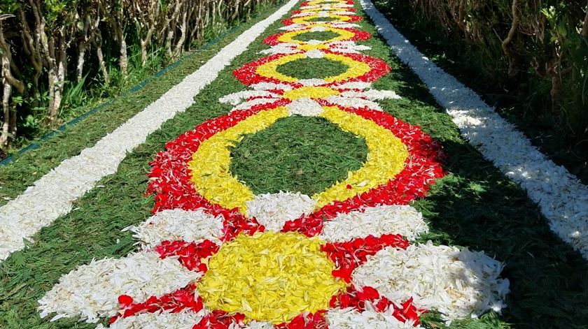 Tapete de flores na Colina do Encontro, no Parque Eduardo VII, em Lisboa. Foto: André Rodrigues/RR