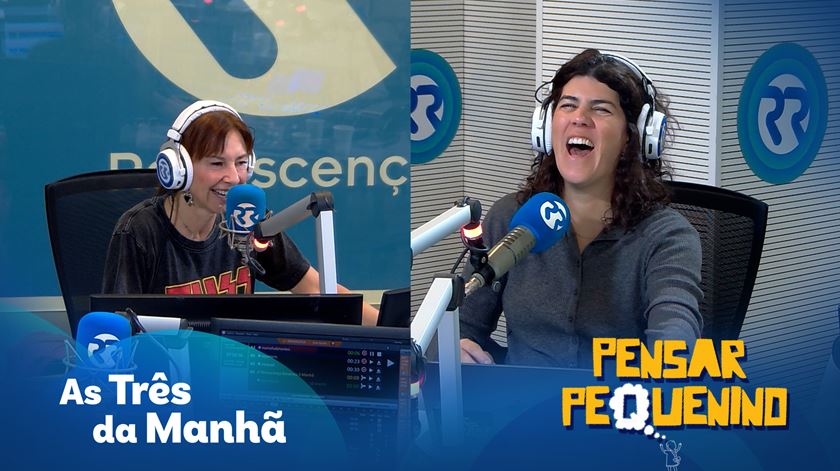 Pensar Pequenino - Gronelândia