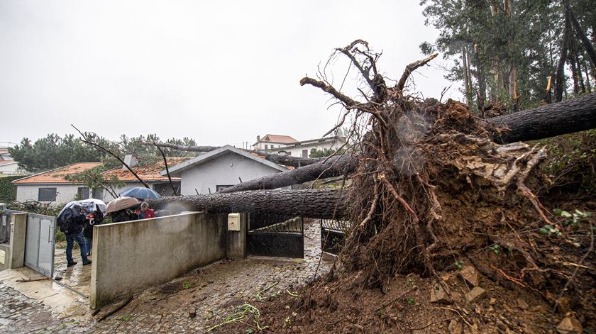 Foto: Octávio Passos/Lusa