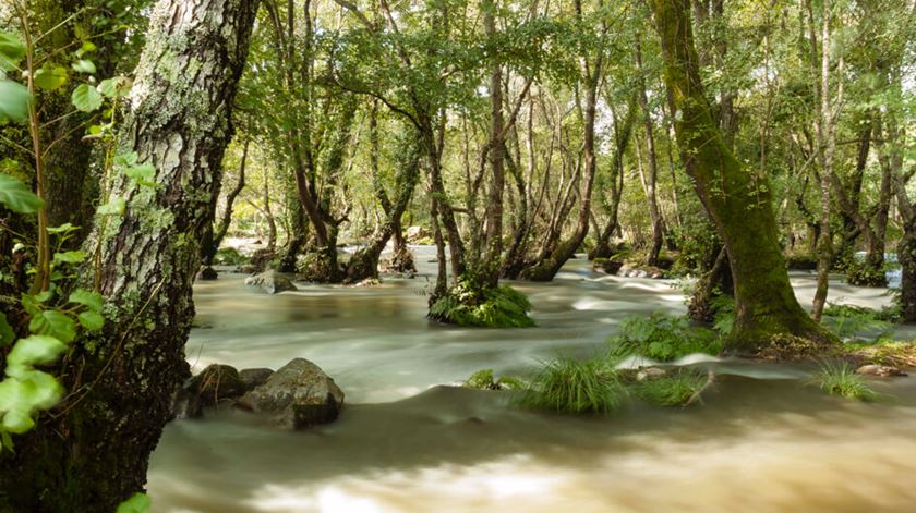 As termas de Alcafache, em Aveiro, entram na Rota da Natureza. Foto: Termas de Portugal