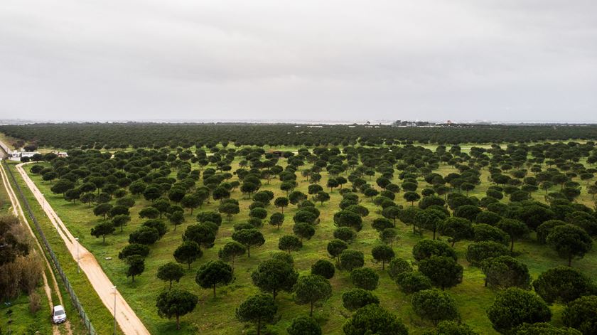 APA mantém chumbo ao aeroporto do Montijo. Declaração ambiental caducou em janeiro