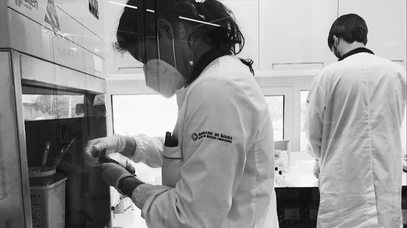 Estratégia nacional de testes em massa à Covid-19 ainda não saiu do papel