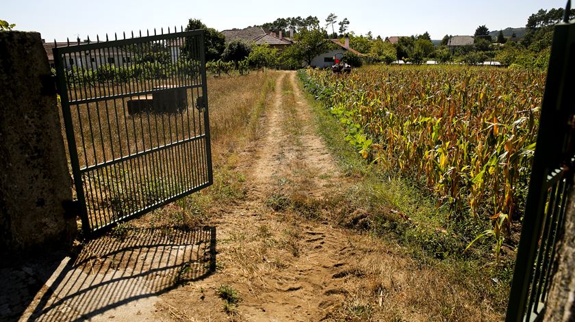 Acidentes com tratores. Morte no Campo (imagem sem título)