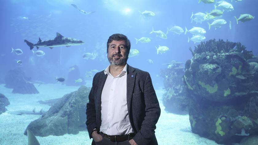 Fundação Oceano Azul saúda entrada em vigor do Tratado do Alto-Mar