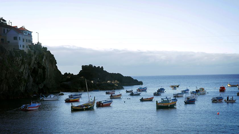 Madeira regista o primeiro óbito com Covid-19. Vítima tinha outras doenças. Foto: DR