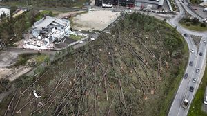 Construtoras de Leiria reconhecem "falta de capacidade" de resposta para reconstruir casas