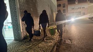 Igreja do Catujal tem "miminhos" no Natal para as famílias. "É uma ajuda extra que a paróquia nos dá"